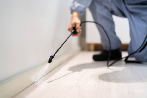 Bed Bug Pre-Treatment Preparation Assessment in Mesa del Caballo