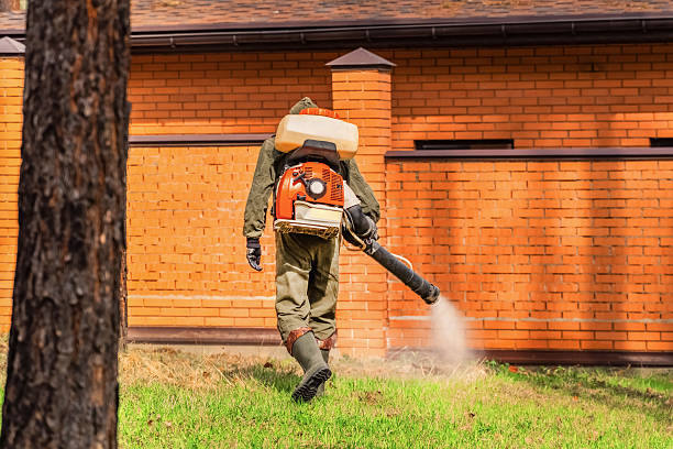 Bed Bug Clearance Verification and Documentation in Mesa del Caballo